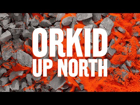 Orkid - Up North