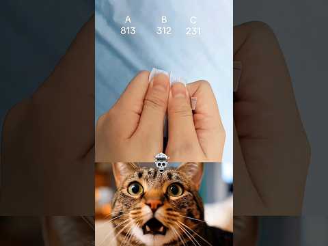 only genius can guess the number 💀🤔 #viral #duet #usa #catvideos #shortvideo #trollface #meme #viral