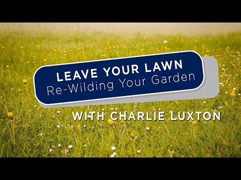 Charlie Luxton | How to Re-Wild Your Garden | Homebuilding