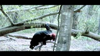 Keep it in my Pocket