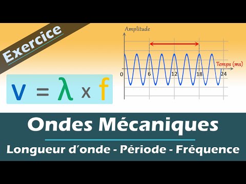 Ondes mécaniques - Longueur d'onde, fréquence et période 📝 Exercice | Physique - Chimie | Lycée