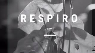 Ranfis - Respiro (Audio)