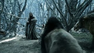 The Stranger saved Nori - The Rings of Power [Season one] Episode 5