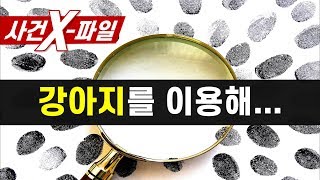 Download lagu [참맛의 사건 X-파일] #40. 강아지를 이용해... | 친근함을 이용한 악마들 mp3