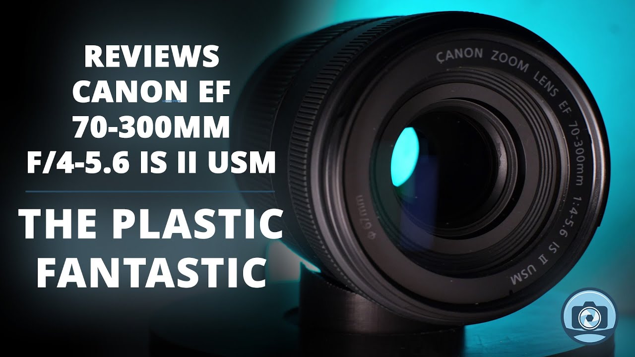 Wildlife Photography on a Budget: Canon 70-300mm Tested