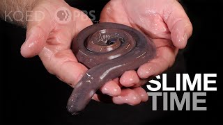 Have You Met a Hagfish? It’s About Slime | Deep Look