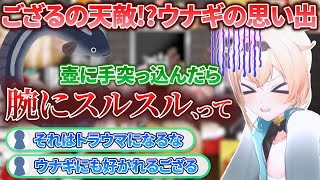 幼少期にトラウマを植え付けられたことでウナギが苦手になったござるさん【風真いろは/ホロライブ切り抜き/holoX】
