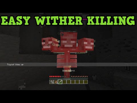 Minecraft Kill Wither With LEAST STUFF Easily