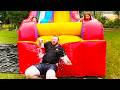The Universe Has A Sense Of Humor Funniest Viral Fails