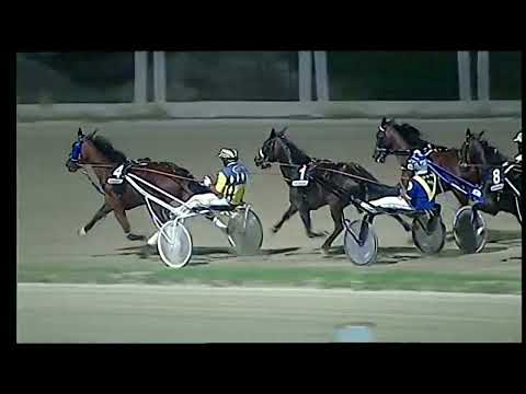 Napoli Trotto 24/08/2022 - 9ª corsa