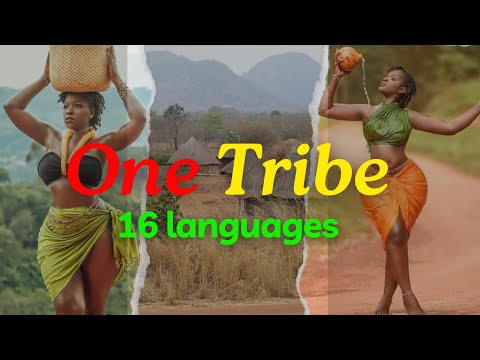 How is the Luhya Tribe divided into 16 sub-tribes: Exploring the Colorful Mosaic of Luhya Sub-Clans.