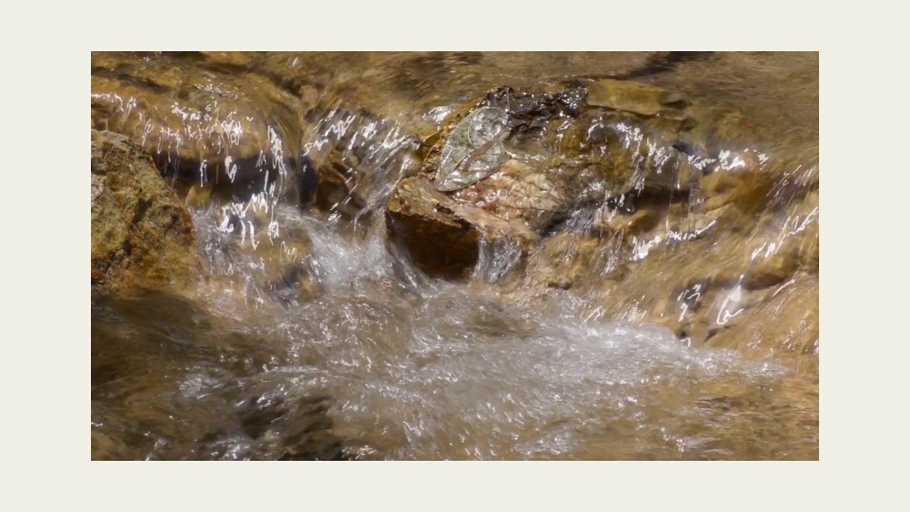 Terreno en Venta en El Barrial