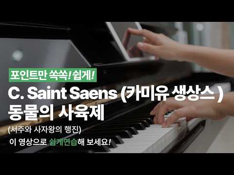 동물의 사육제(서주와 사자왕의 행진) 영상