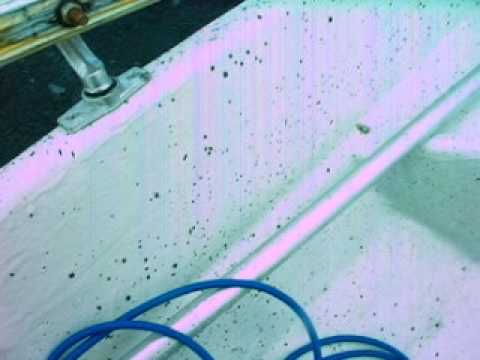 Massive harri at muonionjoki Finland