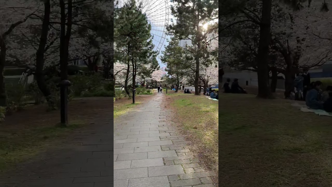 YouTube Short thumbnail