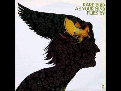 Rare Bird - Flight