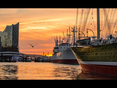Vogelkonzert am Morgen Hamburg