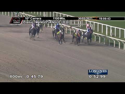 210530 c10 CARO COMPANHEIRO (BRZ)