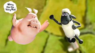 Download lagu CỪU ĐẤU HEO CON ĐIÊN 🐑⚡🐷 | Shaun the Sheep [ViệtNam] mp3