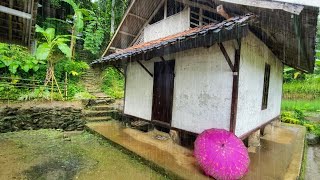 Download lagu HEAVY RAIN IN THE COLDEST VILLAGE🥶 IN THE RURAL COUNTRIES OF TASIKMALAYA, WEST JAVA mp3