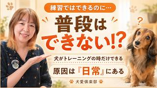 犬が“トレーニングの時だけできる”理由｜その原因、実は“普段の生活”です！