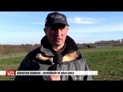 Carnet de pistes : Sébastien Guarato - Bold Eagle Prix du Bourbonnais 2016 - 07/12/16
