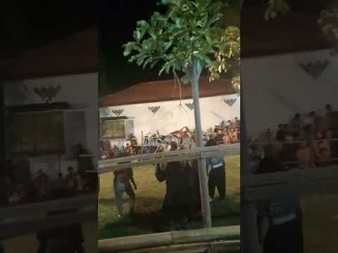 @Baratayuda-s2i. Bantengan Putra Jaya dari  Puspo Pasuruan Episode 5