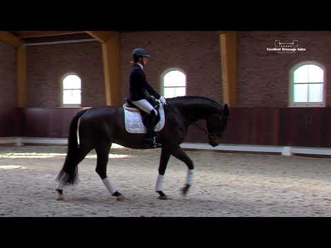 34 Feinklang - EDS COLLECTION 2018