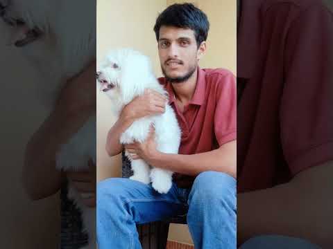 subscribe to My channel 😎