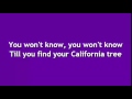 Walk Off the Earth - California Trees (Lyrics Video ...