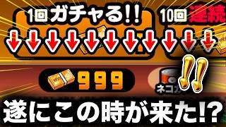 来たか！！！！！！！