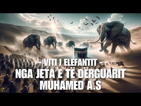 Nga jeta e të dërguarit Muhamed a.s - Viti i elefantit