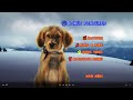Snow Buddies UK DVD Menu Walkthrough 2008