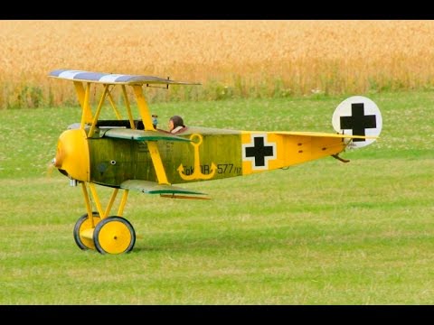 GIANT SCALE RC DAWN PATROL UK WW1 SCOUT / FIGHTERS AT WILLIS WARBIRDS FIGHTER MEET - 2015