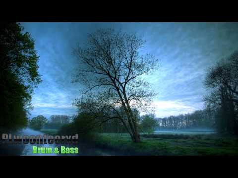 Andreas Ort - Seasons (ft. Submatik & Charline) |HD|