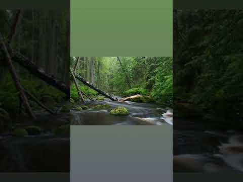 Johann Philipp Krieger (1649-1725) - Feld-Music. Suite No. 1 in F Major