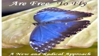 Stephen Davis   Butterflies Are Free To Fly