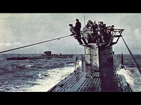 O "Monstro Caçador" mais letal do mar