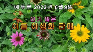예푸른 2022년 6월 9일 여름 야생화 !!! 택배주문하세요
