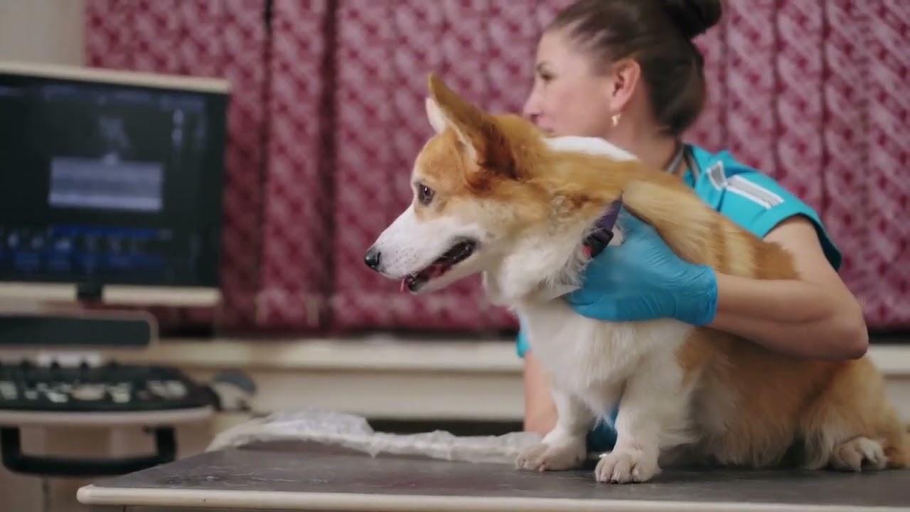  OUR PREVIOUS CAMPAIGN VIDEO thumbnail