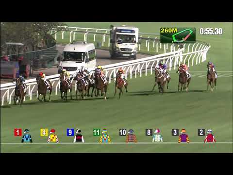 3/3/2021 (472) Wood On Fire - Z Purton