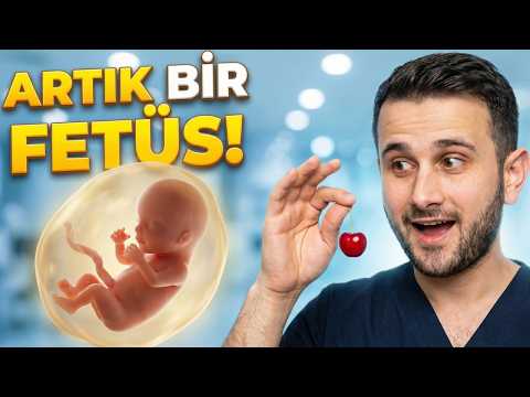 What's Happening to Your Baby in 9 Weeks of Pregnancy?