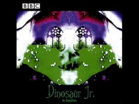 Dinosaur Jr   In Session