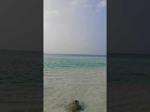 Kalpeni Island Tour #island #travel #lakshadweep #fyp #explore #shortvideo #tropical #beach #shorts
