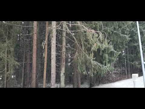 Nyt pikkusen ulkoilemassa