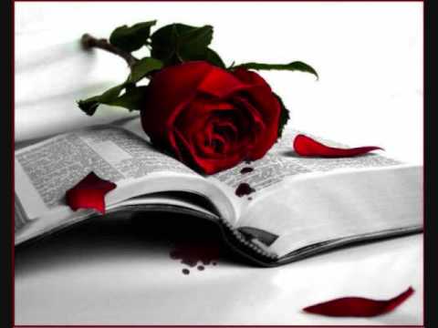 AVECES LLORO - BANDA CUISILLOS