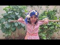 GOPASHTAMI Krishna S Cows