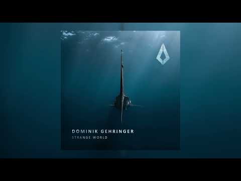 Dominik Gehringer - Strange World