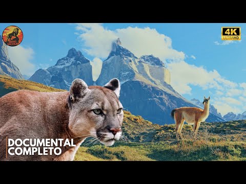 ANDES - El Reino de los Sobrevivientes Silenciosos | Documental Animal