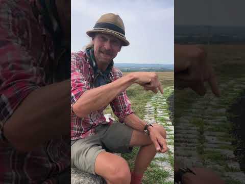 Invitation to Invisible College